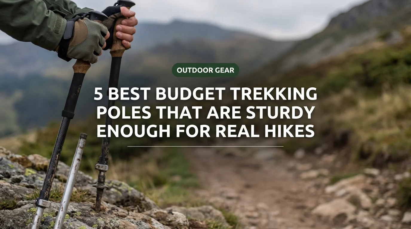 5 Best Budget Trekking Poles That Are Sturdy Enough for Real Hikes